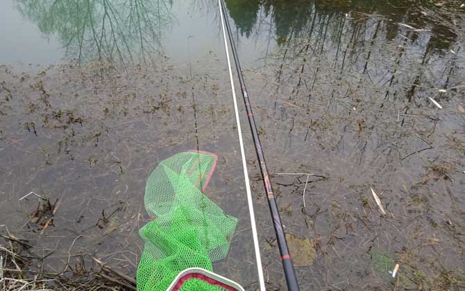 为什么台钓的人多路亚的人少?