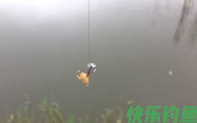 传统钓线组搭配有哪些？
