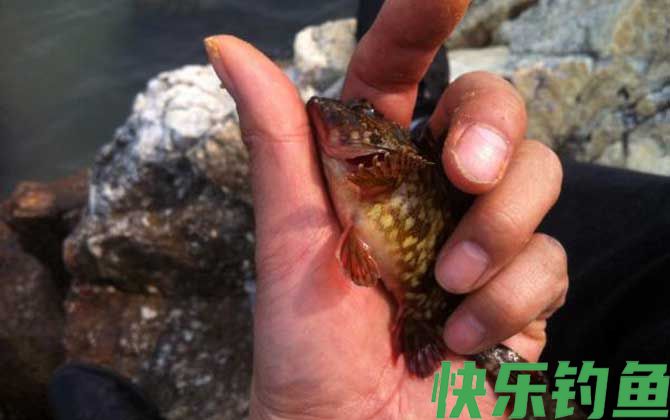 矶钓是什么意思？(图4)