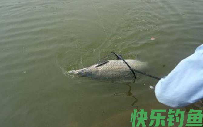 遛鱼呛水是什么意思？(图2)
