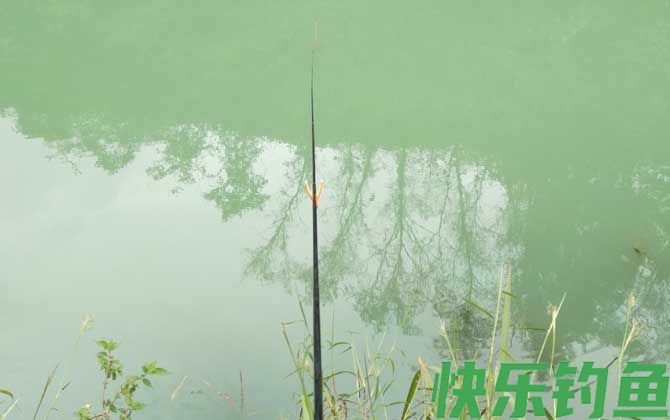钓鱼打龟是什么意思？(图2)