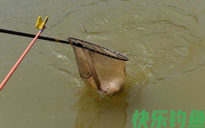 遛鱼是什么意思？(图3)