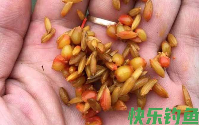 钓鱼术语大全及解释(图2)