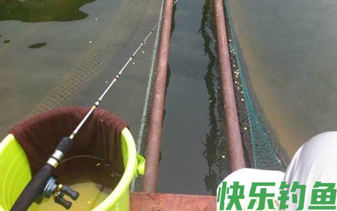 钓鱼术语大全及解释(图6)