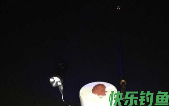 夜钓什么时间段鱼口最好?(图2) 夜钓什么时间段鱼口最好?(图2)
