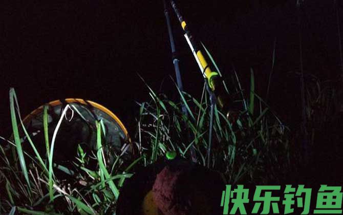 夜钓什么时间段鱼口最好?(图3) 夜钓什么时间段鱼口最好?(图3)