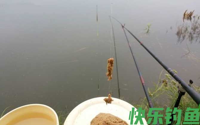 黑坑偷驴是什么意思？(图1)