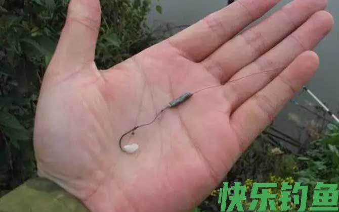 传统钓和台钓哪个钓的多？(图3)