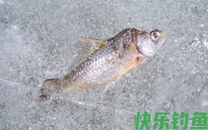 冰钓是什么意思？(图1)
