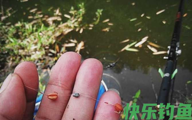 谷麦钓法是什么意思?(图2) 谷麦钓法是什么意思?(图2)