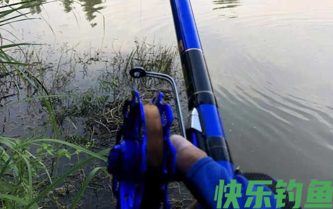 谷麦钓法是什么意思?(图1) 谷麦钓法是什么意思?(图1)