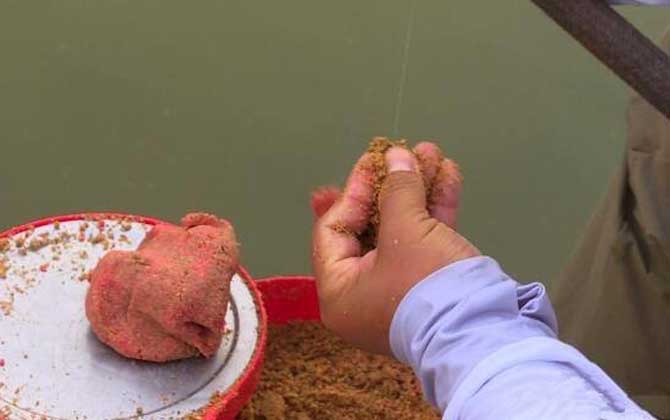 钓鲫鱼用什么散炮好