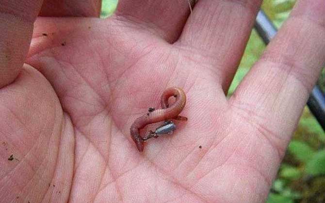 河边钓鱼最好的饵料是哪一款