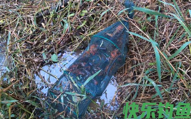 地笼是怎么捉鱼的