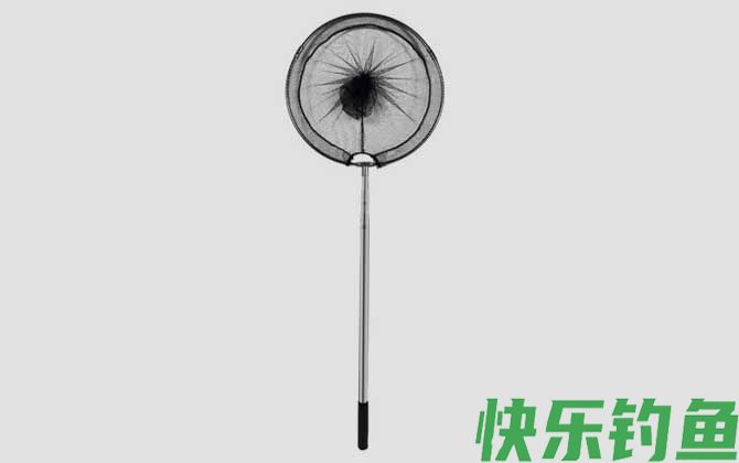 钓鱼必须要用抄网吗