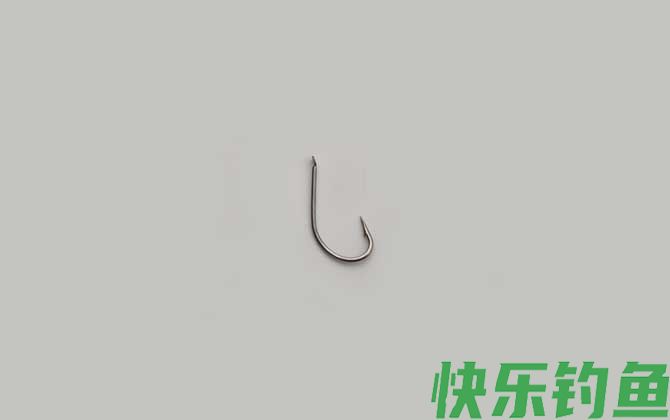 冬天钓鲫鱼用丸世几号钩
