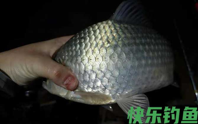 夜钓用夜光漂好还是夜钓灯好(图1)