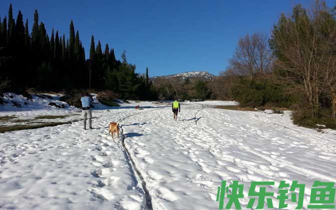 冰钓用什么线组(图2)