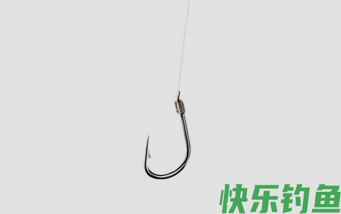0.2号子线能飞多大的鱼(图4)