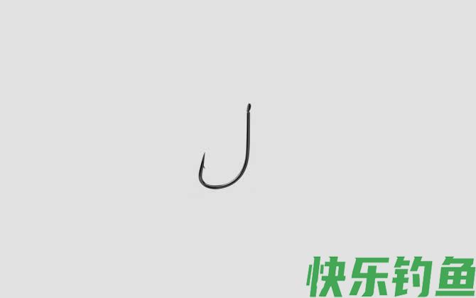 挂红虫钓鱼用什么钩型(图6)