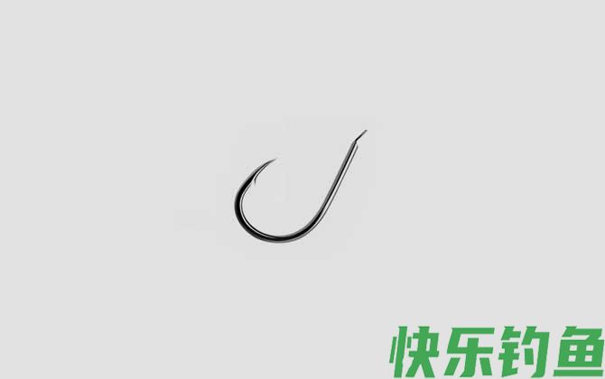 钓昂刺鱼用什么钩最好(图3)