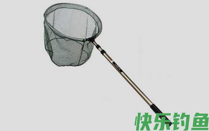 钓鱼必须要用抄网吗(图4)