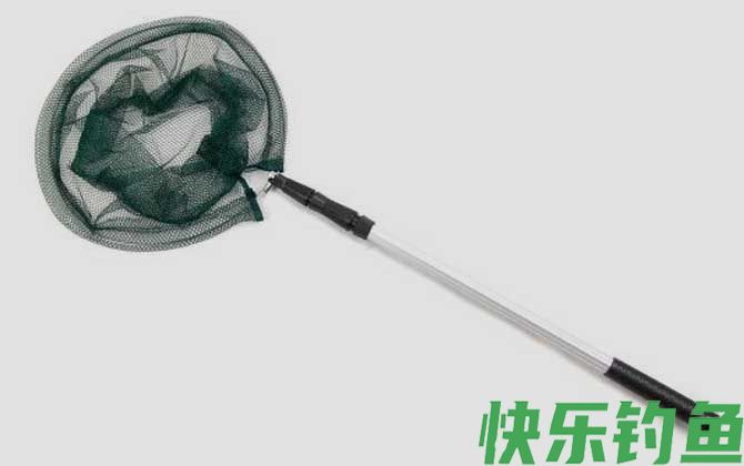 钓鱼必须要用抄网吗(图3)