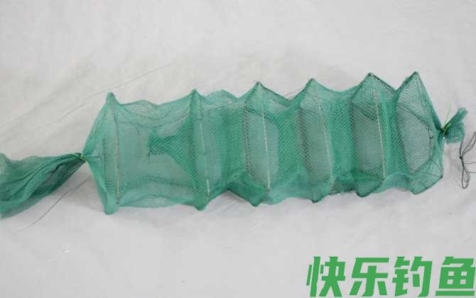 地笼为什么能进不能出(图2)