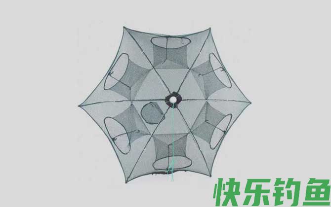 地笼为什么能进不能出(图3)