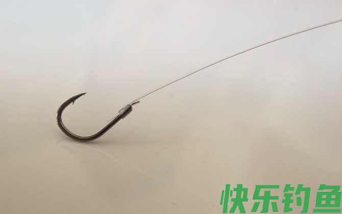 0.6号子线配多大的钩子(图3)
