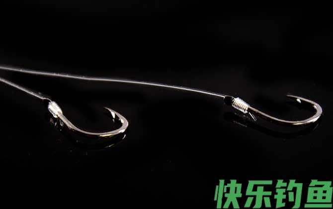 0.2号子线配多大的鱼钩(图1)