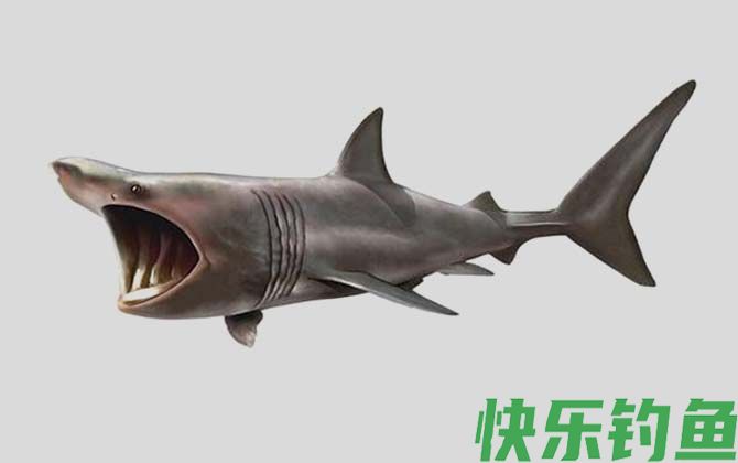 国家二级保护鱼类名称及图片大全(图3)