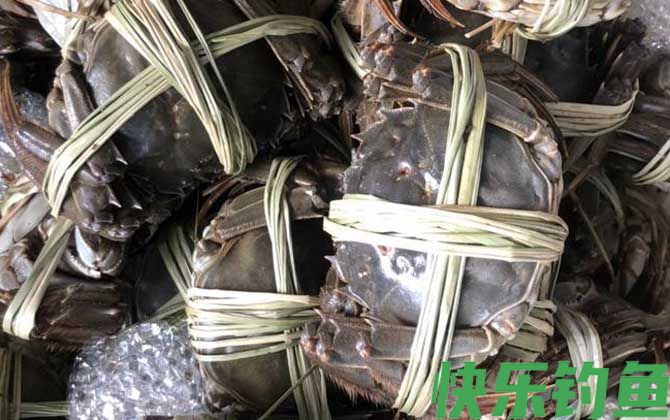 青蟹和大闸蟹的区别(图2)