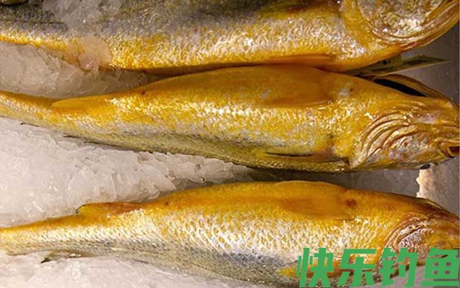 最适合孩子吃的八种鱼(图1)