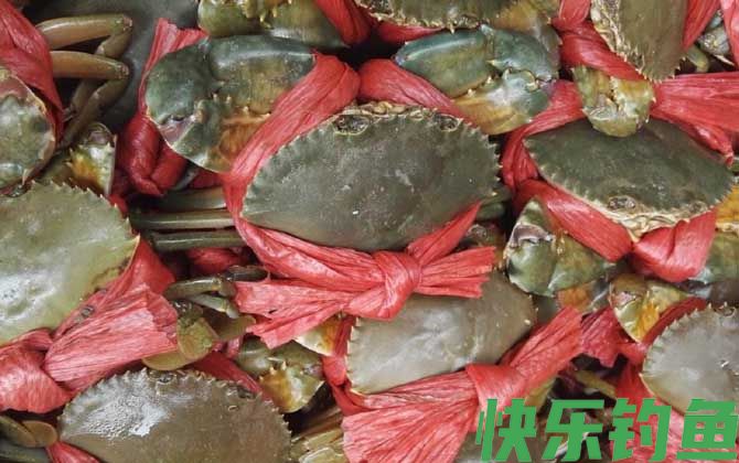青蟹和大闸蟹哪个好吃(图1)
