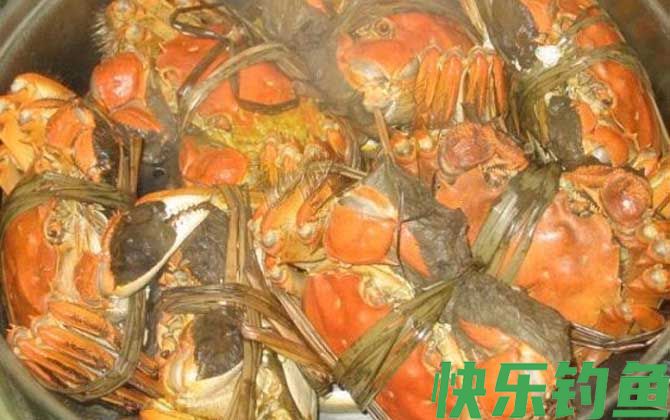 哺乳期可以吃螃蟹吗(图4)