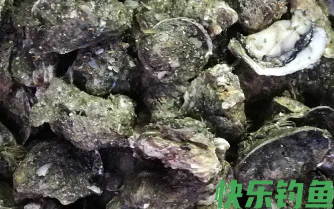 生蚝的做法蒸几分钟最好(图4)
