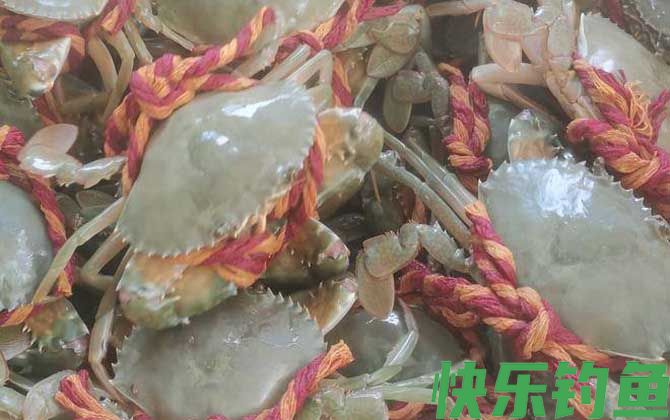 螃蟹六不吃是哪六不吃(图1)