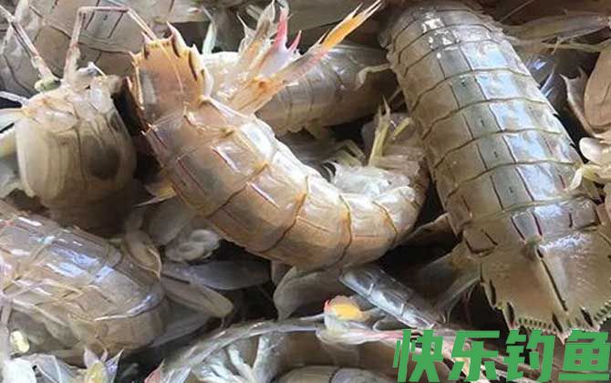 皮皮虾蒸几分钟最好(图1)