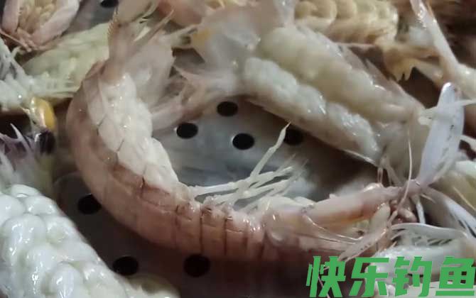 皮皮虾蒸几分钟最好(图3)